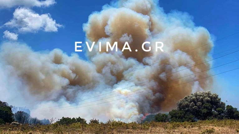 φωτια καρυστος