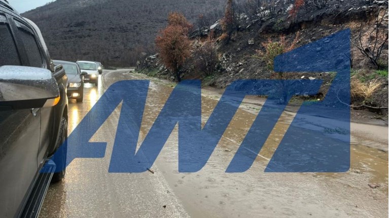 ΛΕΩΟΦΟΡΟΣ ΔΙΟΝΥΣΟΥ