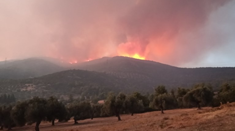 ΦΩΤΙΑ ΕΥΒΟΙΑ