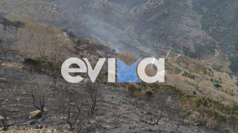 Φωτιά Κάρυστος