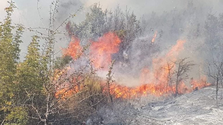 ΦΩΤΙΑ ΣΤΟΝ ΕΒΡΟ