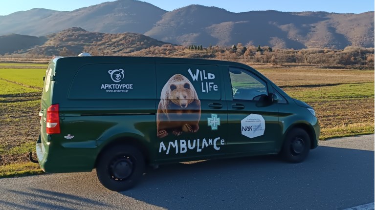 ΑΣΘΕΝΟΦΟΡΟ ΑΡΚΤΟΥΡΟΣ