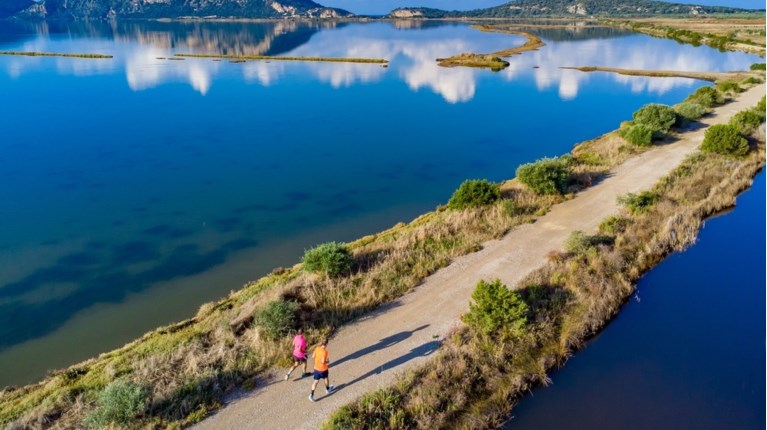 Navarino Challenge
