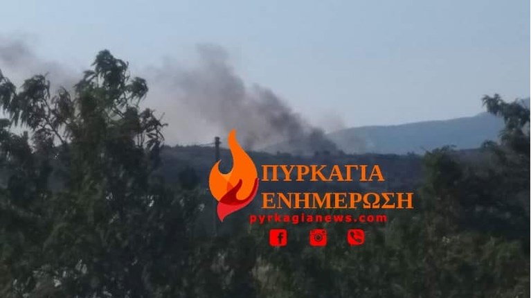 φωτιά Λούτσα