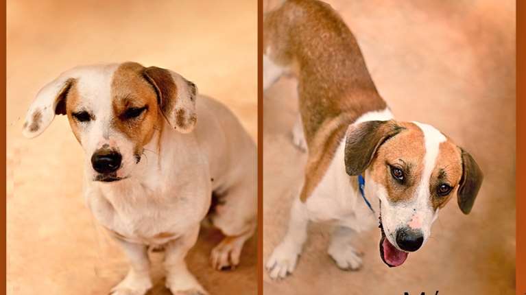 Ο Μάριος και ο Νίνο με γαλαζοαίματη καταγωγή - Ο κόσμος των παλατιών και των αυλικών δεν ήταν γι' αυτούς