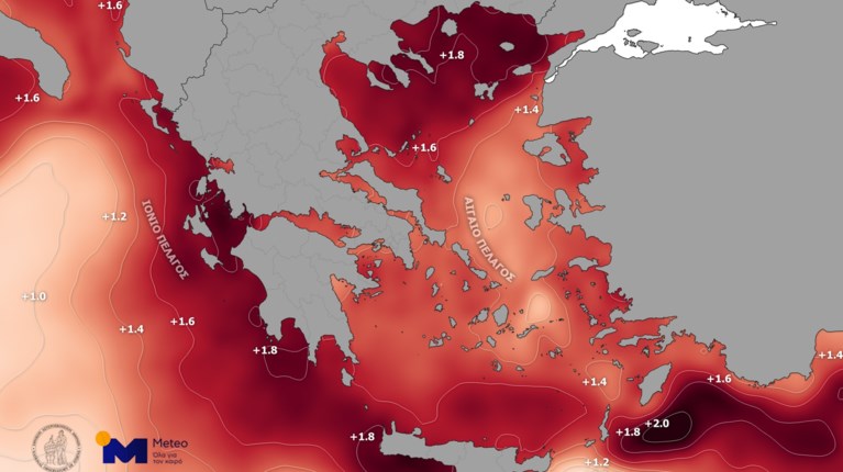 Χάρτης
