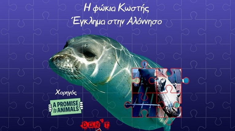 φωκια