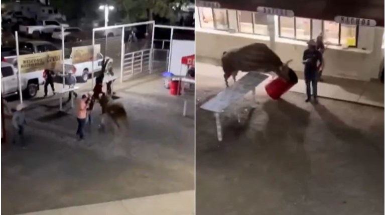 ΗΠΑ ΟΡΕΓΚΟΝ ΤΑΥΡΟΣ ΡΟΝΤΕΟ