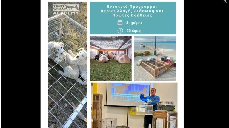 ζερο
