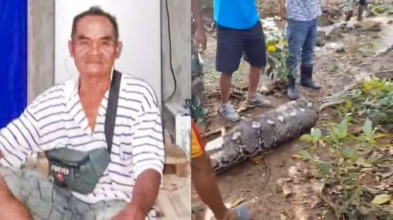 Πρωτοφανές περιστατικό: Αγρότης στην Ινδονησία βρέθηκε νεκρός στην κοιλιά πύθωνα [βίντεο]