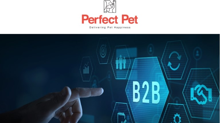 ECOMMERCE B2B WEBSITE