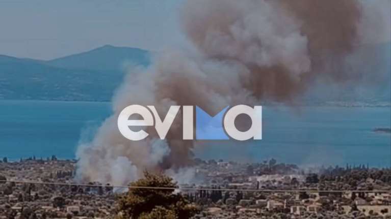 Καλύτερη η εικόνα της φωτιάς στην Ερέτρια - Εχει περιοριστεί το πύρινο μέτωπο [βίντεο]