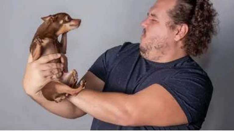 Γιατί ο σκύλος μου μυρίζει άσχημα;