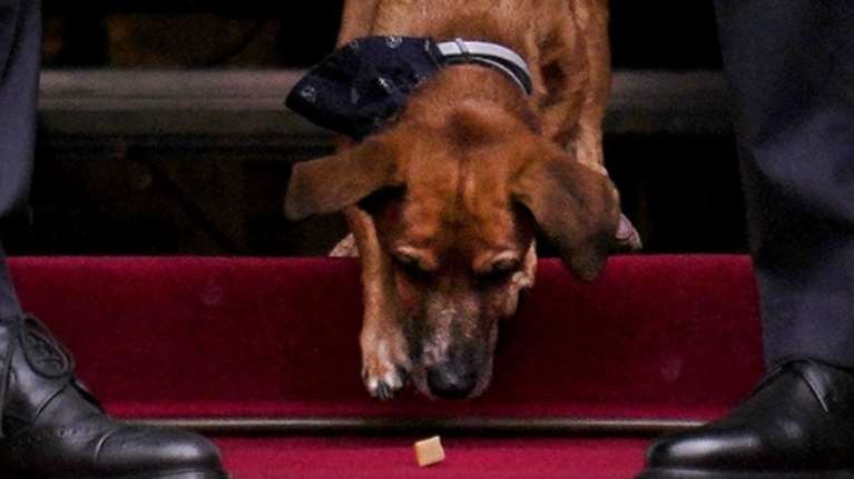 Πέταξαν λιχουδιά στον Πίνατ για να βγει φωτογραφία με τον Μητσοτάκη και τον Ερντογάν; Τι δείχνει το βίντεο