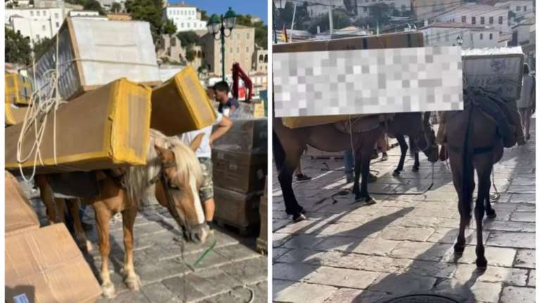 Ντροπή για υπερφορτωμένα γαϊδουράκια στην Ύδρα - Εριέττα Κούρκουλου: &quot;Δεν δικαιολογούνται αυτές οι εικόνες&quot;