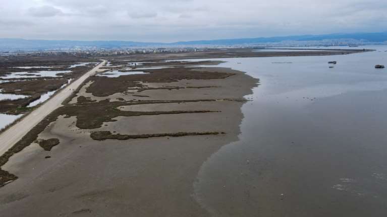 Ο Τσελέντης εξηγεί: Γιατί &quot;άδειασε&quot; η θάλασσα από τη Θεσσαλονίκη έως την Κρήτη - Απαντάει στο αν έχει σχέση με νέο σεισμό