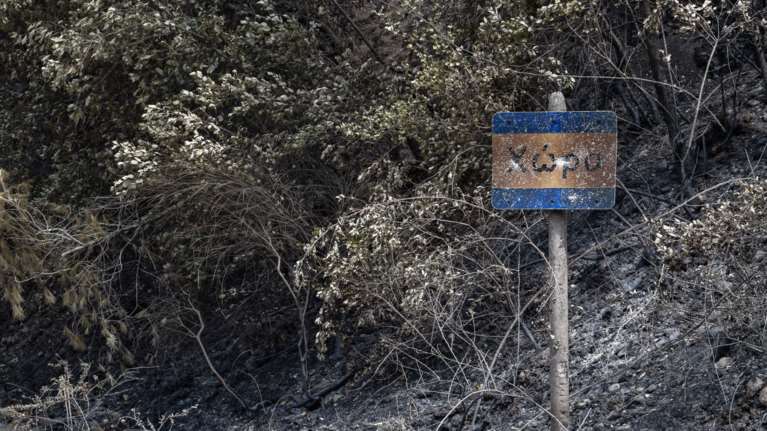 Φωτιά στην Αρκαδία: Αντιμετωπίστηκαν οι αναζωπυρώσεις στη Γορτυνία και στη Μεγαλόπολη - Δεν κινδυνεύει οικισμός