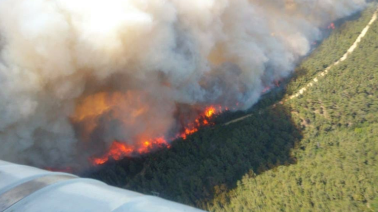 Τουρκία: Μεγάλη δασική πυρκαγιά μαίνεται στη χερσόνησο της Καλλίπολης [Εικόνες-Βίντεο]