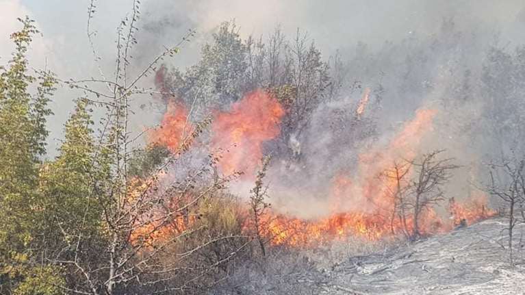 Συναγερμός στην Πυροσβεστική: Μεγάλη φωτιά στον Έβρο - Κινδυνεύει προστατευόμενη περιοχή [Εικόνες - Βίντεο]