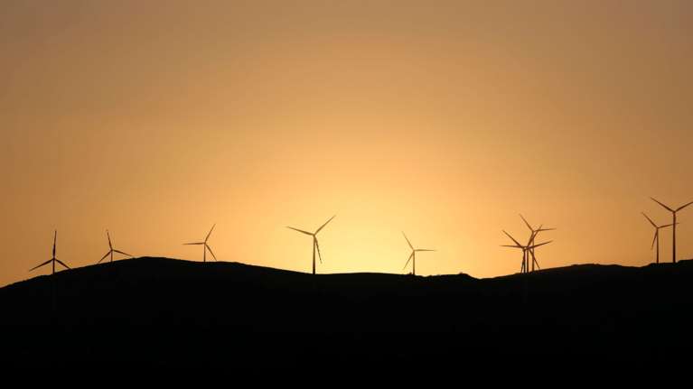 Η επικεφαλής της WWF αποδομεί όσα &quot;παλαβά&quot; ακούγονται για τις φωτιές στην Εύβοια και τις ανεμογεννήτριες