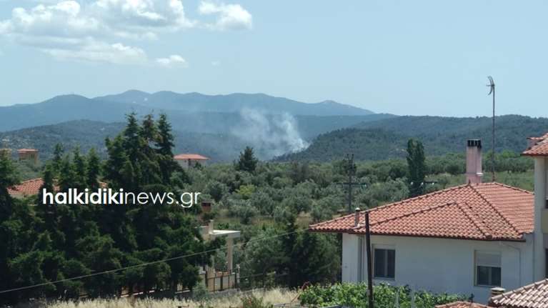 Μεγάλη φωτιά στη Χαλκιδική -Καίγεται δάσος στα Πηγαδάκια Σιθωνίας