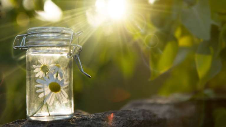 Ανθοϊάματα Bach: Μία εναλλακτική θεραπεία για θλίψη, άγχος, πόνο