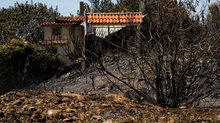Βελτιώνεται η εικόνα της πυρκαγιάς στα Γεράνεια - Κυβερνητικό κλιμάκιο στο Αλεποχώρι την Κυριακή