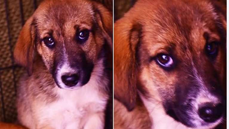 Γιατί να μην το παινευτώ; Είμαι μια κούκλα - Και πολύ καλός χαρακτήρας!