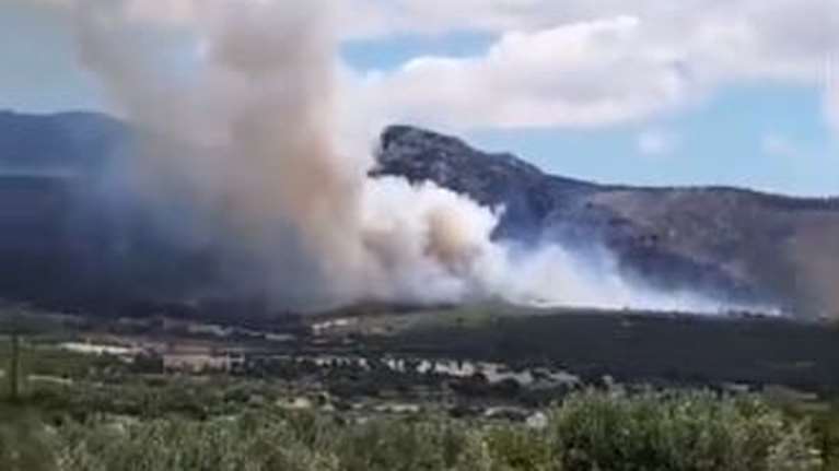 Συναγερμός στην Πυροσβεστική: Φωτιά σε δασική έκταση στα Μέγαρα [Βίντεο]