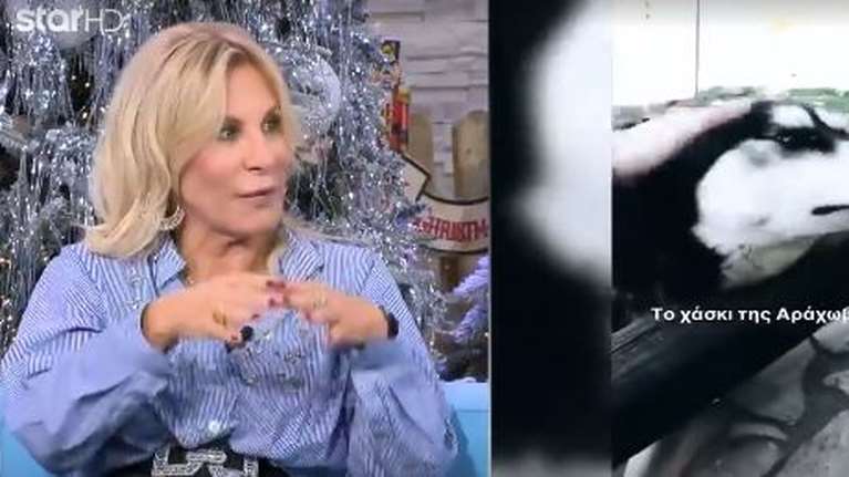 Αράχωβα - Ανάσογλου: Μάρτυρας αποφάσισε να &quot;σπάσει&quot; τη σιωπή του και να δώσει πληροφορίες για τον Ολιβερ