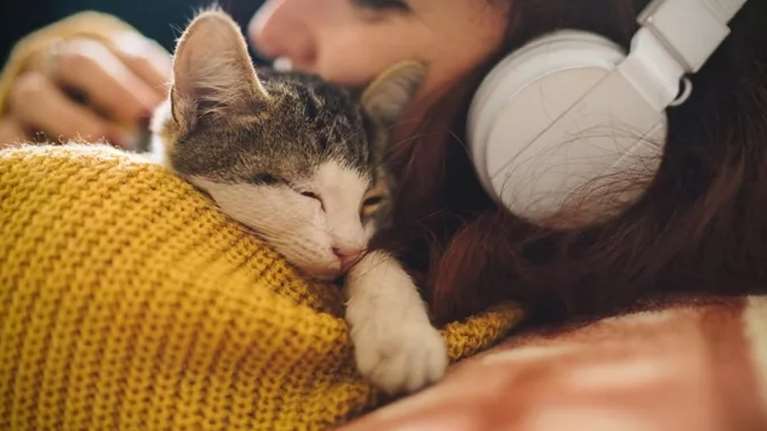 Spotify Wrapped 2024: Γιατί μας αρέσει να το μοιραζόμαστε στα social media;