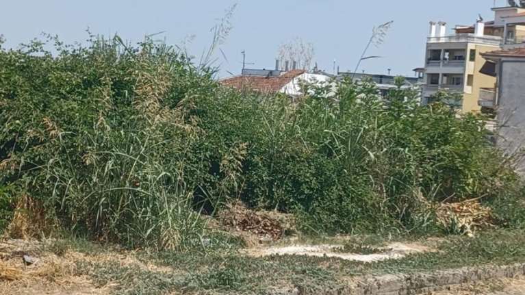 Παράταση δηλώσεων καθαρισμού οικοπεδικών και ακάλυπτων χώρων