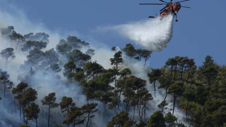 Χωρίς ενεργό μέτωπο η πυρκαγιά στη Νέα Μάκρη - Υπό μερικό έλεγχο αυτή στο ρέμα Κοκκιναρά