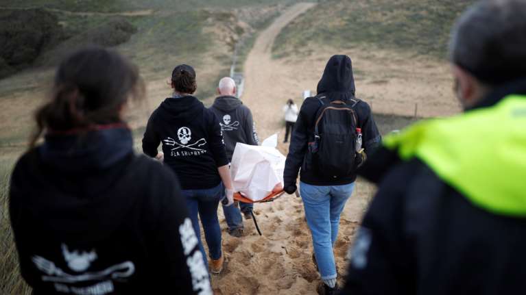 Τρομακτικό: Ρεκόρ νεκρών δελφινιών ξεβράζεται στις ακτές της Γαλλίας [ΕΙΚΟΝΕΣ]