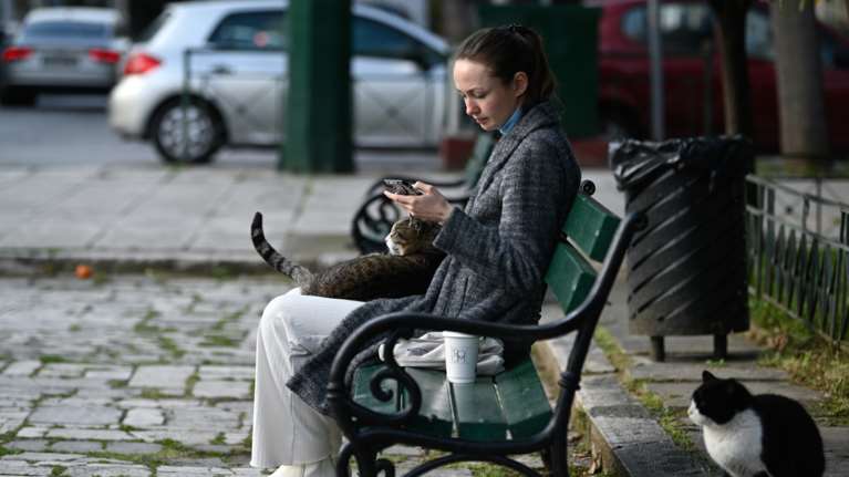 AIDS της γάτας: Τι είναι ο ιός της &quot;ανοσολογικής ανεπάρκειας&quot; - Τα συμπτώματα, πώς μεταδίδεται, τι ισχύει για τον άνθρωπο