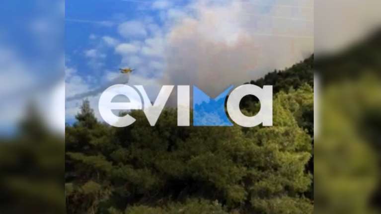 Εύβοια: Φωτιά στον Άγιο - Επιχειρούν επίγειες και εναέριες δυνάμεις - Ισχυροί άνεμοι πνέουν στην περιοχή