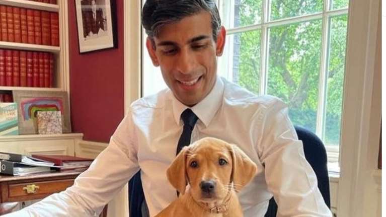 Νόβα: Ο διάσημος σκύλος της Ντάουνινγκ Στριτ - Το 18 μηνών λαμπραντόρ ριτρίβερ του Ρίσι Σούνακ