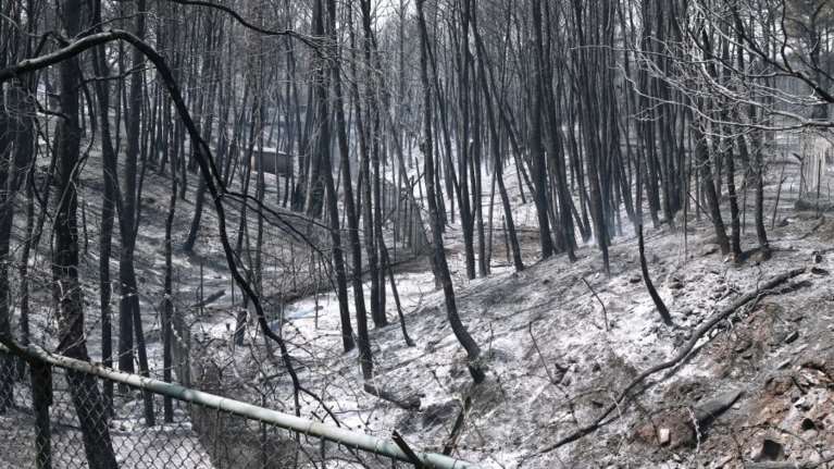 Φωτιά στη Βαρυμπόμπη: Σε κατάσταση Έκτακτης Ανάγκης Πολιτικής Προστασίας ο δήμος Αχαρνών