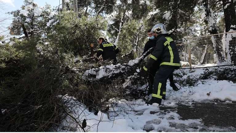 Ο Δήμος Αθηναίων αποζημιώνει τους ιδιοκτήτες οχημάτων που υπέστησαν ζημιές από πτώσεις δέντρων