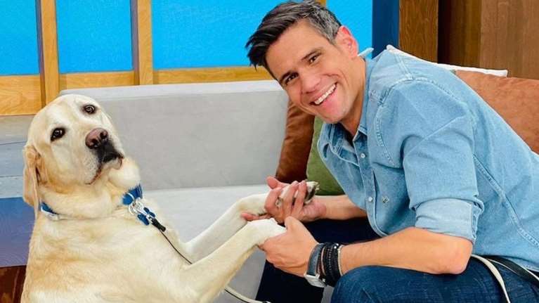 Χριστούγεννα τον Οκτώβριο; Ο Δημήτρης Ουγγαρέζος στόλισε δέντρο