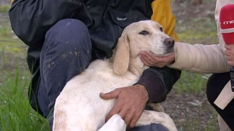Στροφυλιά: Το όνομά της πλέον είναι Ιντα - Αντί να πάει στην τροφή, ήπιε έναν κουβά νερό