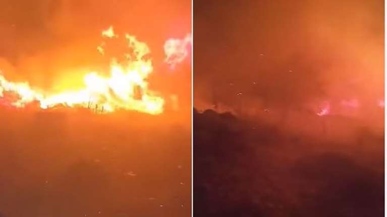 Χανιά: Υπό μερικό έλεγχο η πυρκαγιά σε δασική έκταση στην Κάντανο [βίντεο]