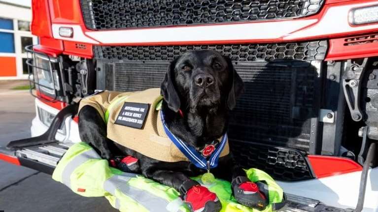 Ο μακροβιότερος σκύλος διασώστης παρασημοφορήθηκε για τα 11 χρόνια προσφοράς και αφοσίωσης
