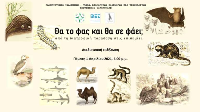 Μεζές νυχτερίδας, κάμπια γιαχνί και πτερύγιο καρχαρία: Πώς η κατανάλωση άγριων ζώων συνδέεται με επιδημίες