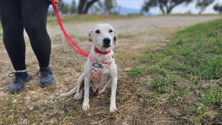 Η Μπόνι είνα απίστευτα λεπτεπίλεπτη, πάρα πολύ διακριτική, με χαμηλή αυτοπεποίθηση και κάποιες ανασφάλειες