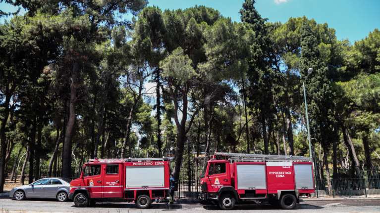 Συναγερμός στις Σέρρες: Ξέσπασε φωτιά σε πάρκο της πόλης