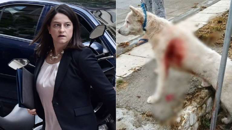 Κεραμέως για τον καθηγητή που μαχαίρωσε τον σκύλο: Τέτοιες πράξεις δεν έχουν θέση στην ελληνική κοινωνία