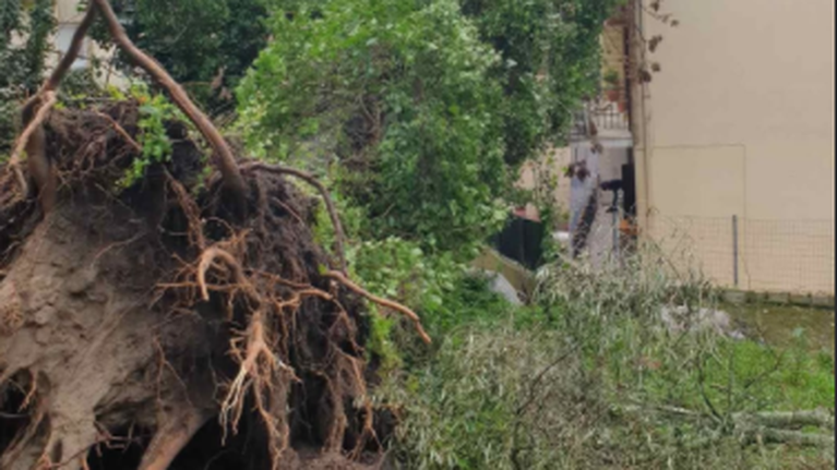 Σφοδρή κακοκαιρία στην Κέρκυρα: Δεμένα τα πλοία - Προβλήματα στο οδικό δίκτυο [Εικόνες]