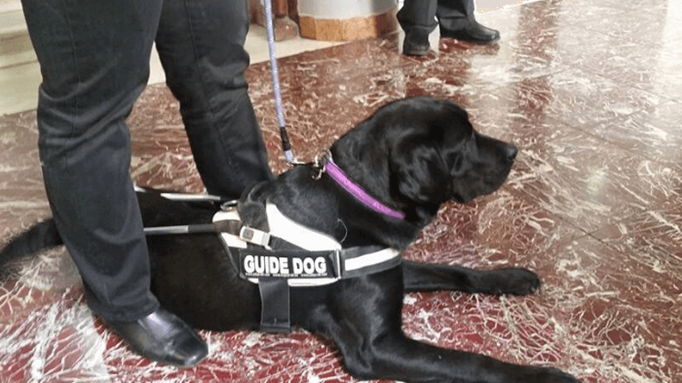 Απόφαση - σταθμός στην Ελλάδα: Καταδίκη οδηγού ταξί που δεν δέχτηκε να επιβιβάσει τυφλή με σκύλο-οδηγό