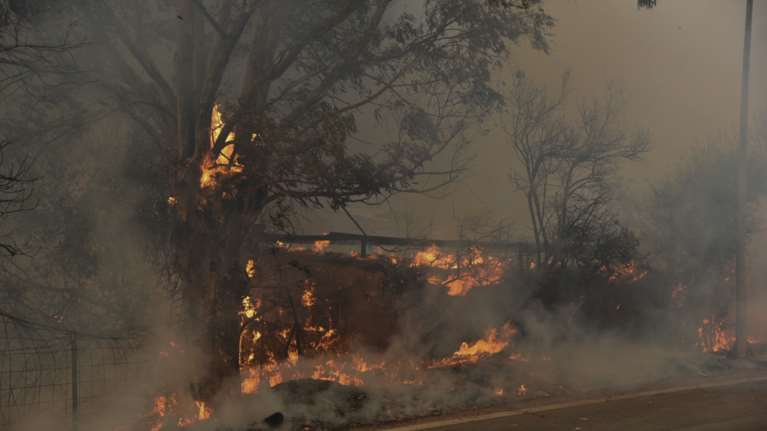 Φωτιά στην Μάνη: Εκκενώθηκε προληπτικά ο οικισμός Λιβάδια